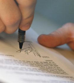 Custom Consulting